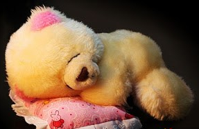 Sleeping Teddy Bear